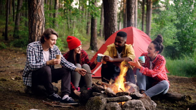Cinemagraph-loop---multiracial-group-of-friends-Caucasian-and-African-American-are-sitting-in-wood-around-fire-with-glasses,-talking-and-smiling,-flame-is-moving.