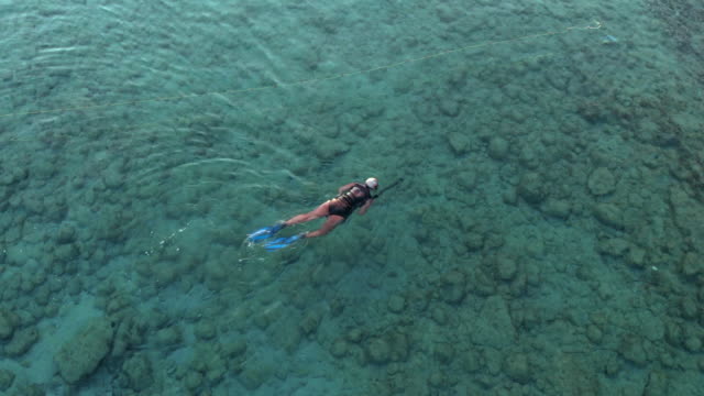Aerial-view-of-a-spear-fisherman-swims-in-the-sea-to-catch-fish