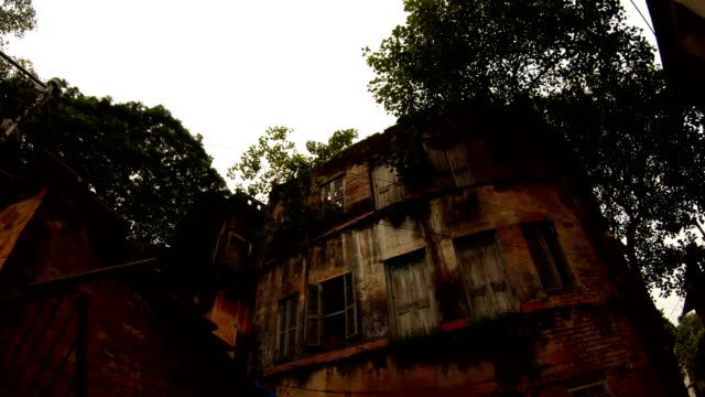 schäbige-Gebäude-mit-Bäumen-alte-Straße-von-Kalkutta-Bodenansicht-bedeckt