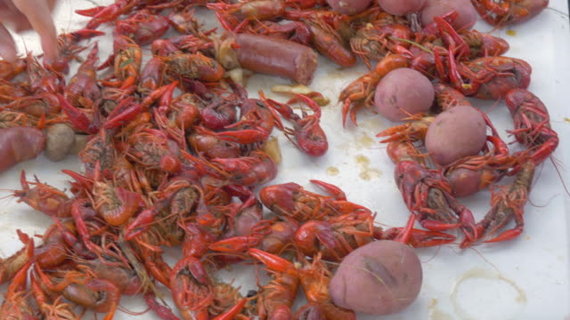 Pan-Over-a-Traditional-Louisiana-Crawfish-Boil