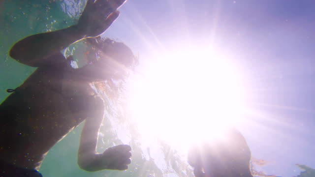 Hai-Pov-bereit-zum-Angriff-romantisch-zu-zweit-schwimmen-auf-der-Wasseroberfläche