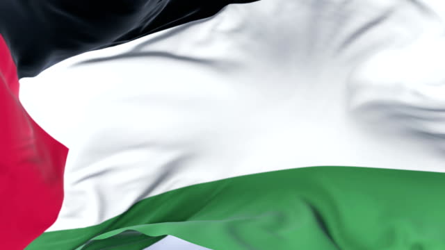 Bandera-Palestina-ondeando-en-el-viento-con-cielo-azul-en-bucle-lento,