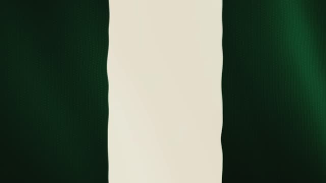 Animación-que-agita-la-bandera-de-Nigeria.-Pantalla-completa.-Símbolo-del-país
