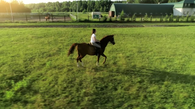 Eine-junge-Frau-reitet-auf-einem-braunen-Pferd-eine-seitliche-trotted-zur-Kamera,-Zeitlupe