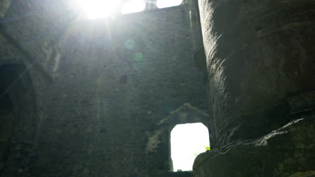Ruined-abbey-in-sunlight