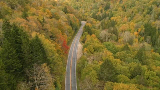 Aerial-Drone-view-of-Car-driving-in-Fall-/-Autumn-leaf-foliage-on-a-High-Mountain-road.--Vibrant-yellow,-orange,-and-red-colors-in-Asheville,-NC-in-the-Blue-ridge-Mountains.