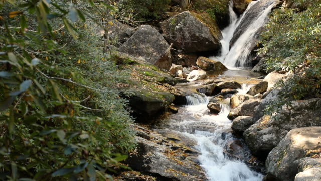 Catawba-Falls-Trail-östlich-von-Asheville,-North-Carolina-Wanderweg,-trekking-durch-ein-Tal,-moosig,-schattigen-Wald-zu-schönen-Wasserfällen-im-Pisgah-National-Forest