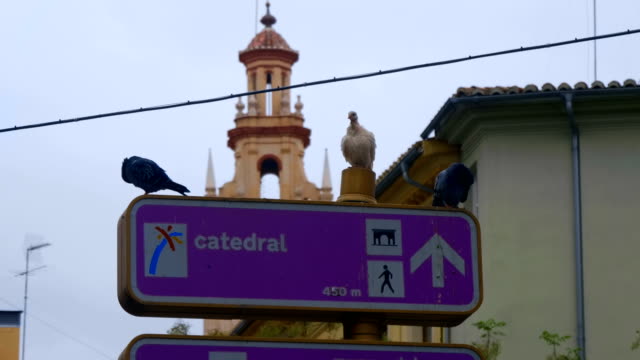 Tauben-sitzen-auf-einem-Informationsstraßen-Schild,-das-Touristen-den-Weg-weist