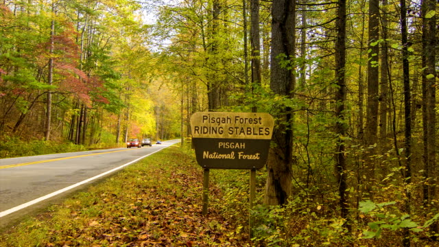 Cars-Traveling-in-Pisgah-National-Forest-with-Fall-Colors