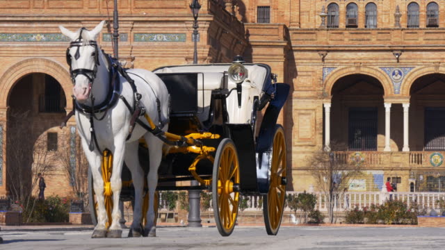 plaza-de-espana-horse-tourist-walk-4k-seville-spain