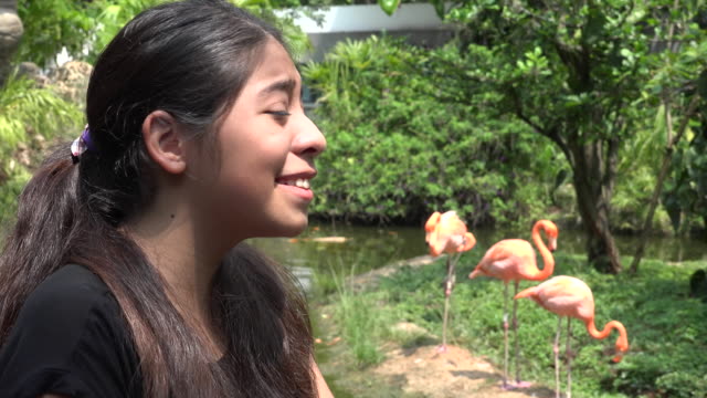 Teen-Mädchen-mit-Flamingos-im-Sommer
