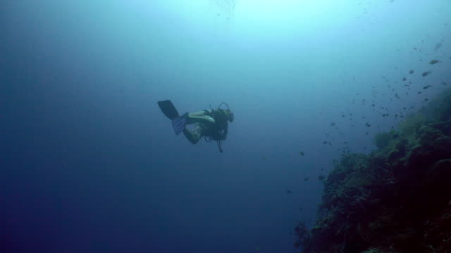 Taucher-Unter-Wasser