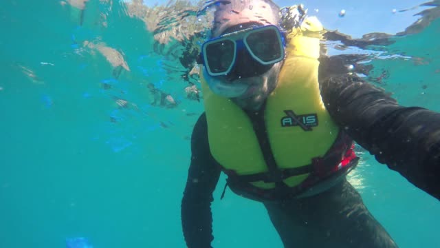 Taucher-unter-Wasser-nehmen-ein-Selbstporträt-in-Whitsundays,-Australien