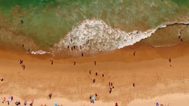 People-rest-on-a-beautiful-sandy-beach-in-Portugal,-Praia-do-Beliche,-Sagres,-aerial-view