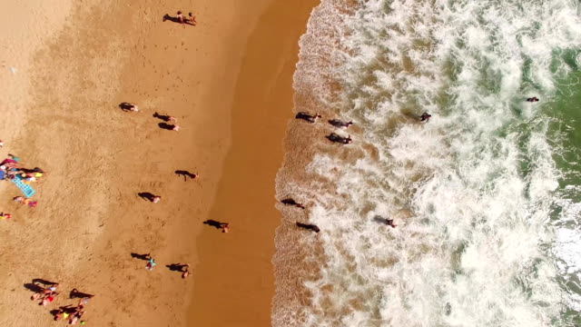 Young-people-having-fun-on-beautiful-sandy-beach-in-Portugal,-Praia-do-Beliche,-Sagres,-aerial-view
