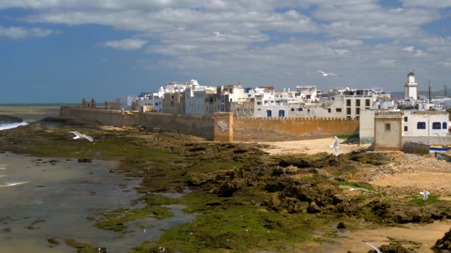 Stadt-Essaouira-an-der-Atlantikküste-von-Marokko.-Möwen-fliegen
