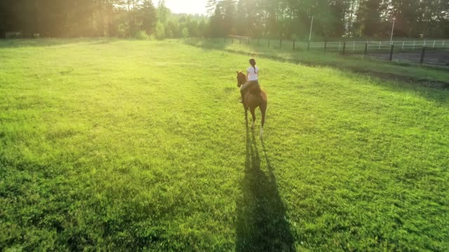 A-woman-rides-trotted-on-a-brown-horse-with-her-back-to-the-camera,-slow-motion