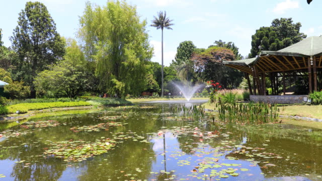 Bogota-Teich-mit-Springbrunnen-und-Natur-im-öffentlichen-Garten-mit-Sonne