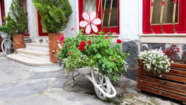 Tenza-Colombia-floral-wheelbarrow