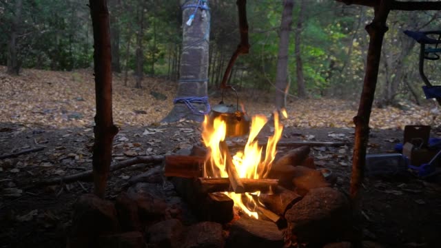 Kettle-and-pot-hanger-with-campfire-and-fairy-lights.-Survival-Bushcraft-setup-in-the-Blue-Ridge-Mountains-near-Asheville.-Primitive-Tarp-Shelter