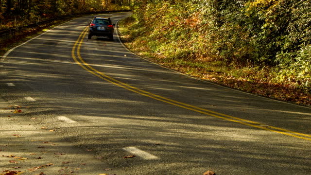 Vehículo-deportivo-utilitario-(SUV)-y-conducción-a-través-del-Bosque-en-otoño-en-Sunrise-en-Carolina-del-Norte