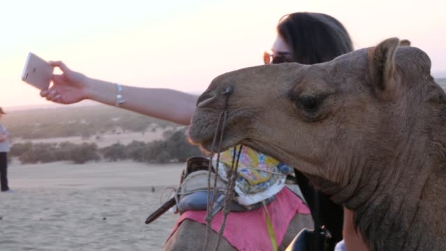 Taking-a-selfie-with-camel-in-desert