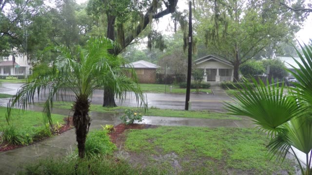 Daños-de-huracán-Irma-en-el-histórico-barrio-de-Lake-Eola-alturas-Orlando-Florida