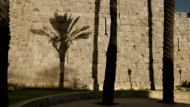 Palma-de-sombra-en-la-pared-de-la-ciudad-vieja-de-Jerusalén