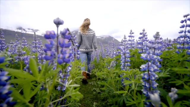 Young-woman-walking-in-flower-lupine-field-in-Iceland-living-a-happy-life-and-enjoying-vacations-in-northern-country--Slow-motion-video-people-travel-fun-concept