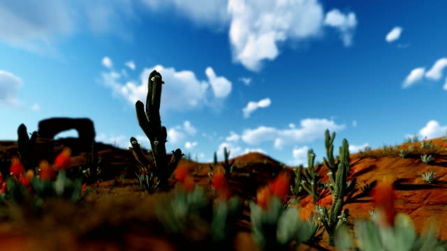 Saguaro-Kaktus-in-der-Wüste-gegen-Timelapse-Wolken,-4K