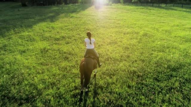 Una-mujer-delgada-monta-un-caballo-marrón-con-su-espalda-a-la-cámara,-video-cámara-lenta