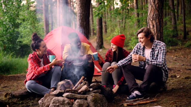 Cinemagraph-loop---multiethnic-group-of-friends-girls-and-guys-are-sitting-in-forest-around-fire-with-drinks-clinking-glasses-and-smiling,-smoke-is-going-up.