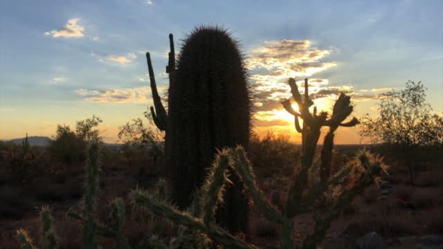 Puesta-de-sol-desierto-Scottsdale-Arizona