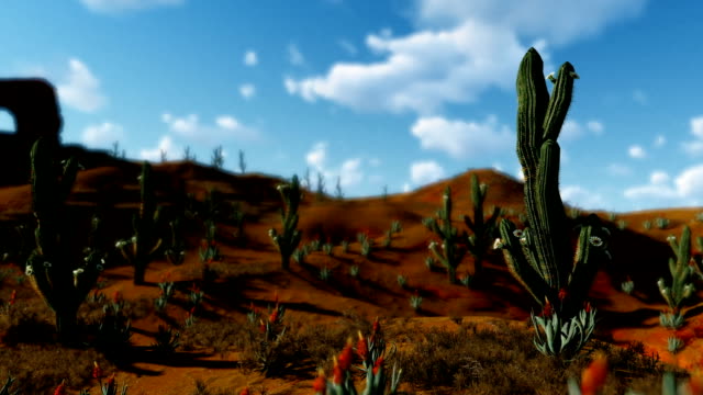 Saguaro-Cactus-in-Desert-against-timelapse-clouds,-camera-panning,-zoom-out
