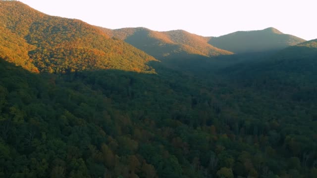 Vista-aérea-de-drones-del-follaje-de-hojas-de-otoño-/-otoño-en-la-autopista-215-desde-arriba.-Colores-amarillo,-naranja-y-rojo-vibrantes-en-Asheville,-Carolina-del-Norte-en-las-montañas-Blue-ridge.