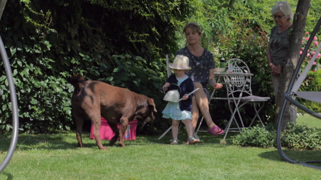 Child-in-Backyard-With-Family-and-Dog