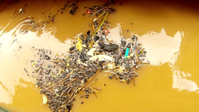 Brasas-negras-y-rubish-flotan-en-agua-marrón-con-reflejos-río-sagrado-ganga-Manikarnika-Ghat-lugar-de-cremación