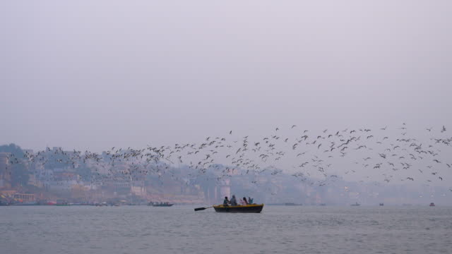 Barco-turístico-y-gaviotas,-río-Ganges,-Varanasi,-India