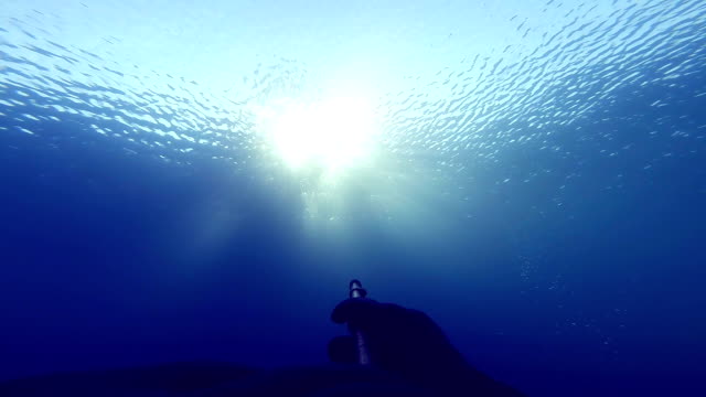 Freediver-die-die-Strahlen-der-Sonne-von-Unterwasser