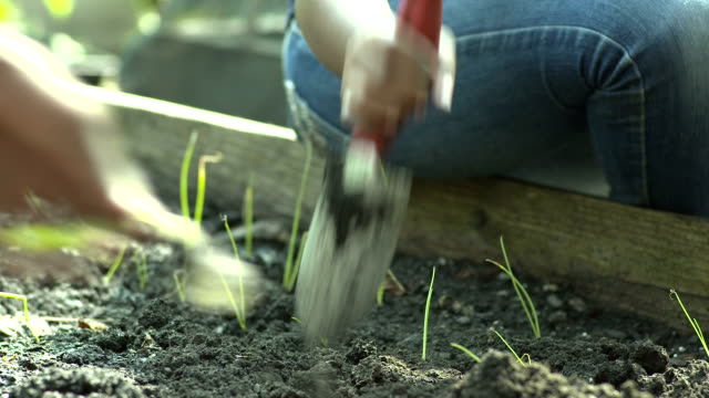 Girls-Uses-Spade-to-Plant-Vegetables