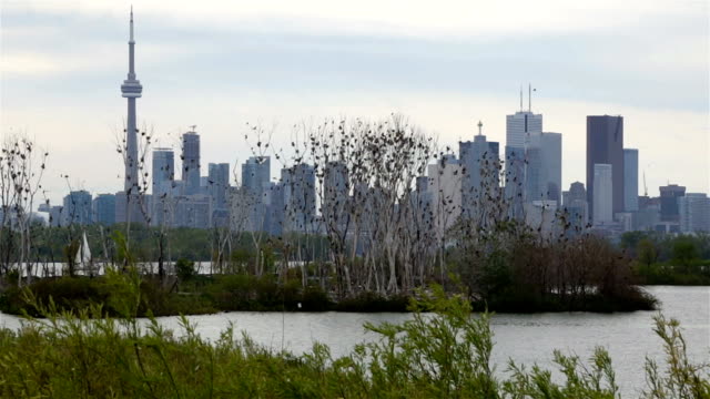 Toronto-skyline-form-the-island