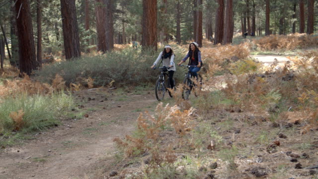 Lesbisches-Paar-hoch-fünf-während-der-Fahrt-Fahrräder-in-einem-Wald