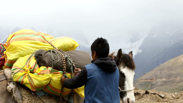 Quechua-Mann-laden-Pferd.