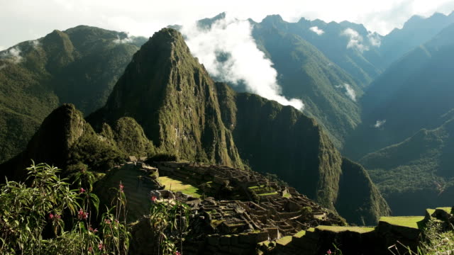 Machu-Picchu-und-Wilde-Orchideen-an-einem-nebligen-Morgen