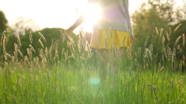 Woman-walk-through-tall-grass-in-shining-sun-at-sunset