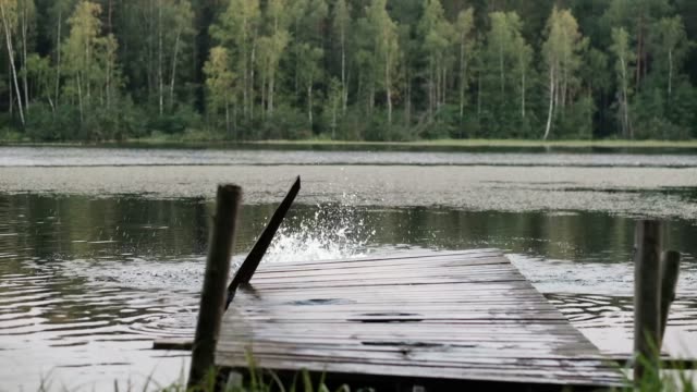 Hombre-maduro-caucásico-saltar-desde-el-muelle-de-madera-en-el-lago.