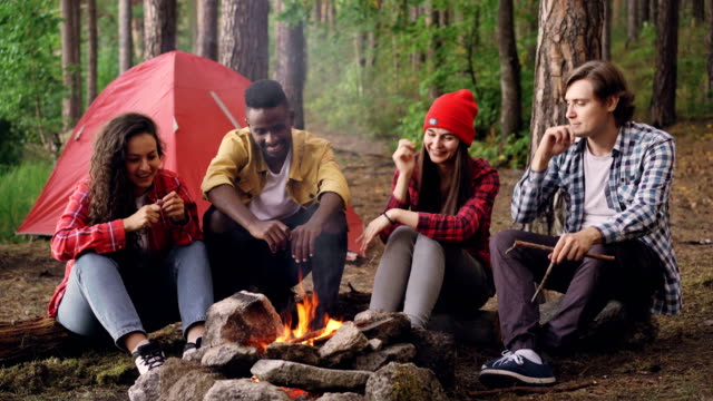 Joyful-tourists-men-and-women-are-sharing-stories-sitting-around-campfire-and-laughing-getting-warm-near-burning-flame.-Conversation,-people-and-fun-concept.