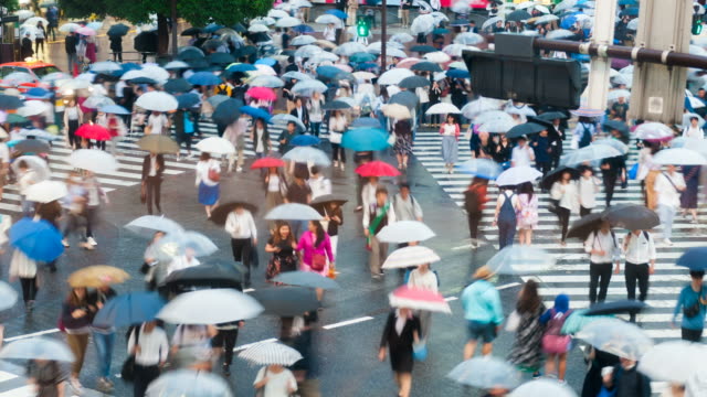 Shibuya-Viertel-am-regnerischen-Tag-mit-Publikum-vorbeigehen-Zebrastreifen.-Tokio,-Japan.--4K-Zeitraffer.