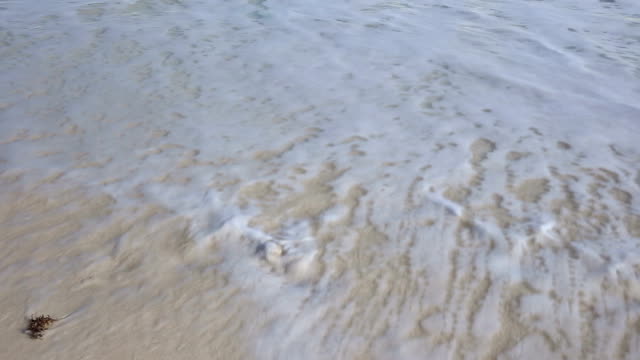 Número-de-2014-lavar-en-playa-tropical