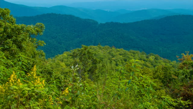 Tilting-up-from-Lush-Green-Foliage-to-Layered-Blue-Ridge-Mountains